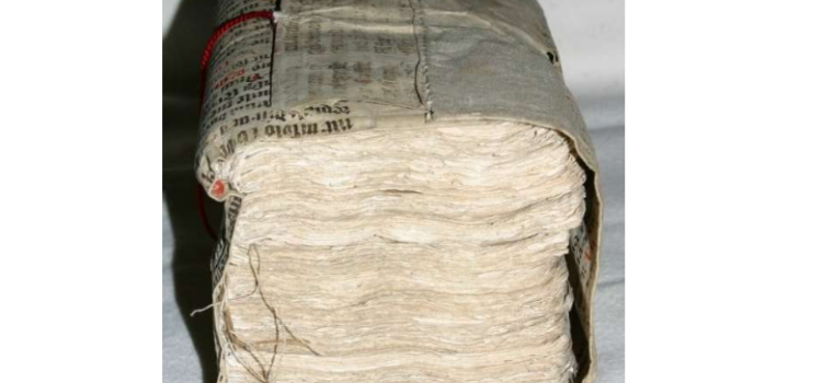 Opportunity: Research Position for the Lüne Letters